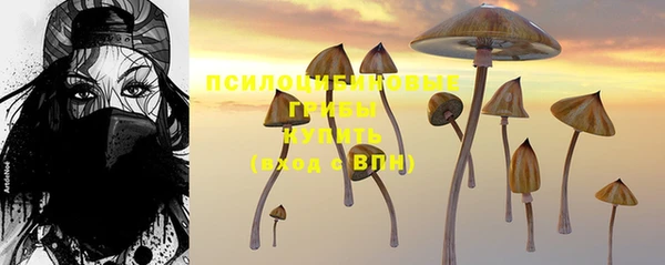 винт Сосновый Бор