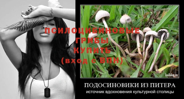 молекула духа Беломорск