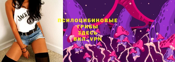 молекула духа Беломорск